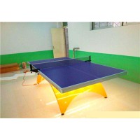 室内金彩虹乒乓球台的型号尺寸