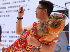 海外网评：中俄博览会服务中俄，贡献世界